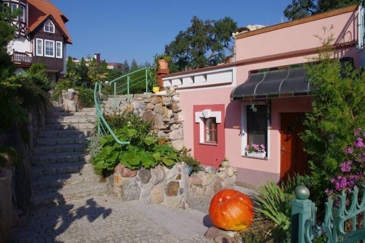 Winnica Guest house Torun