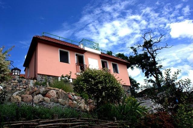 Guest house Winnica Torun