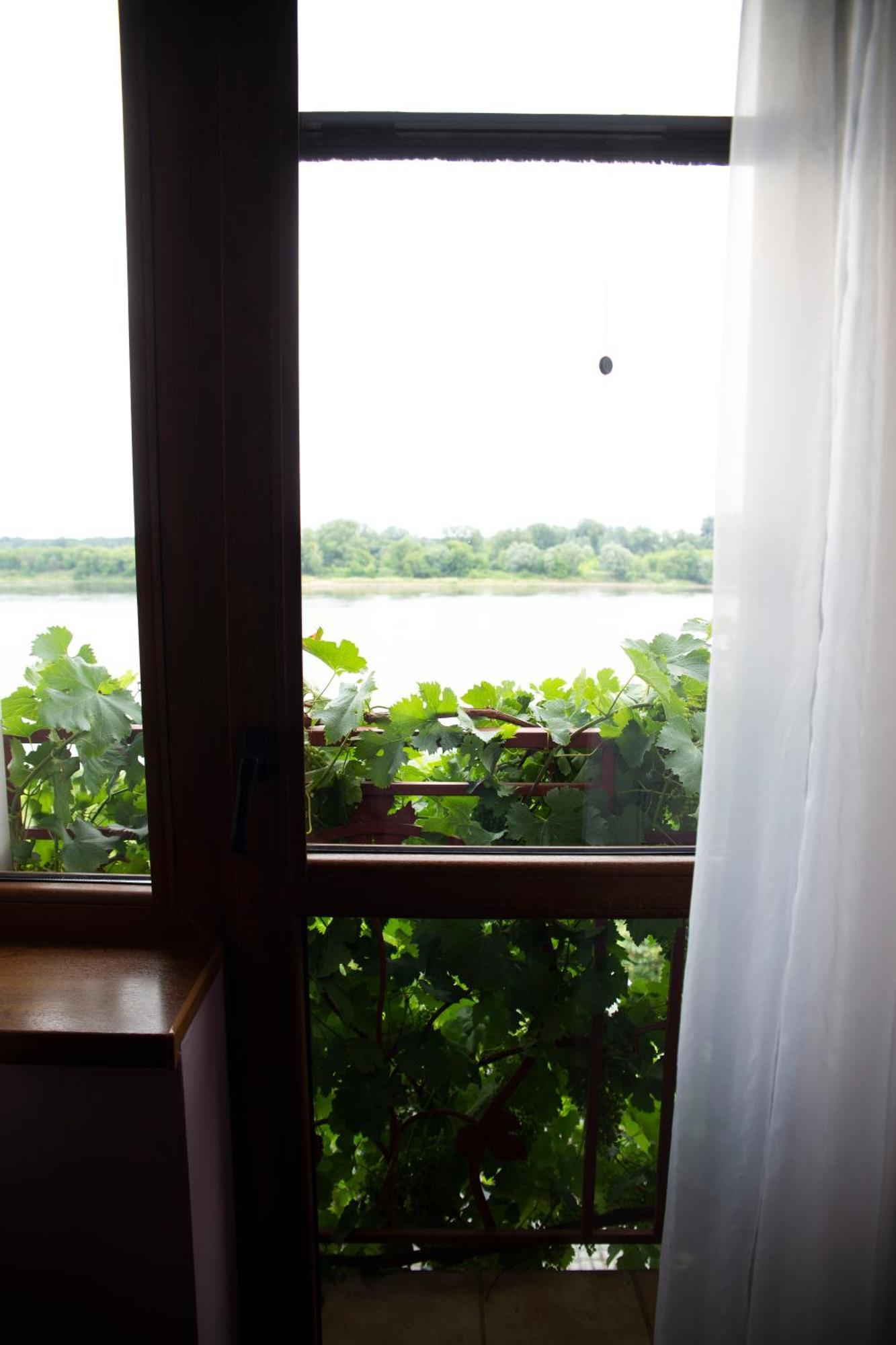 Winnica Guest house