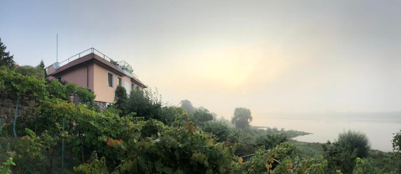 Winnica Guest house
